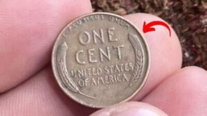 Could a Lincoln Wheat Penny in Your Pocket Be Worth $950K
